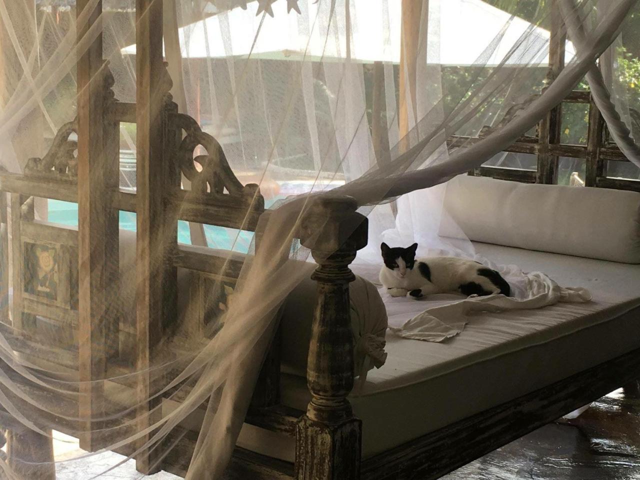 Pashmina House Bed & Breakfast Watamu Ngoại thất bức ảnh