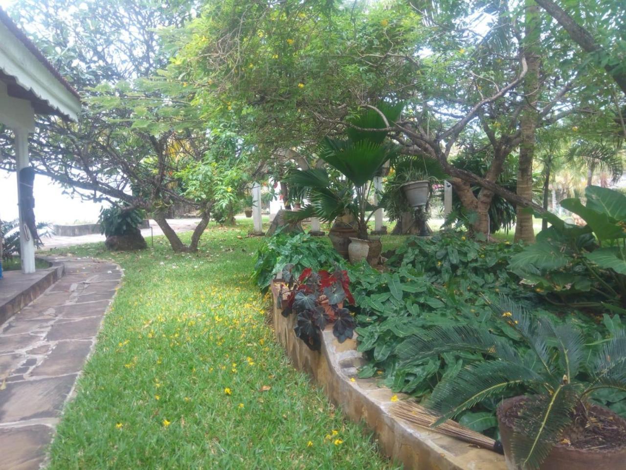 Pashmina House Bed & Breakfast Watamu Ngoại thất bức ảnh