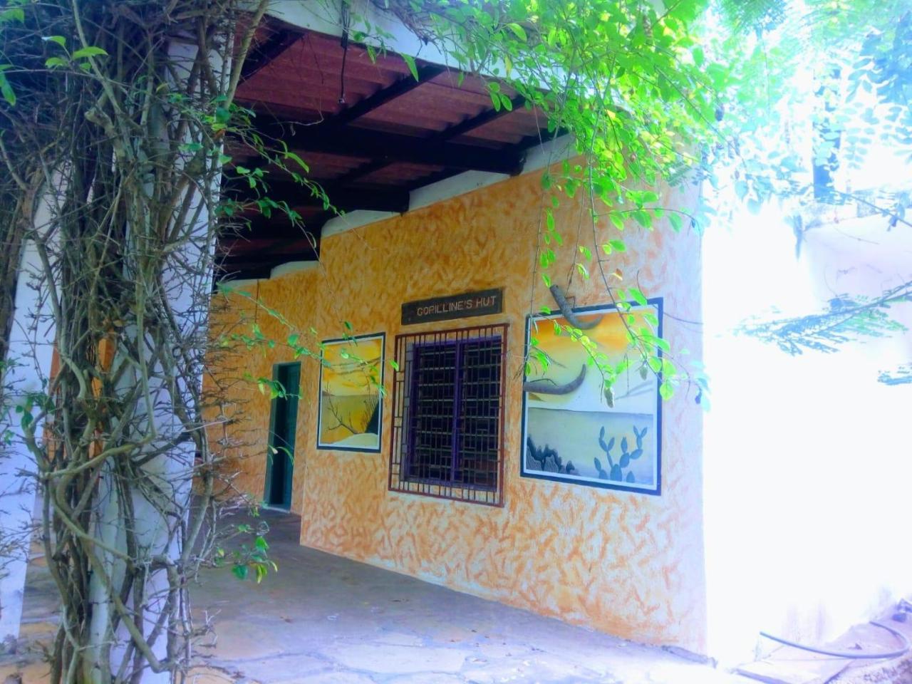 Pashmina House Bed & Breakfast Watamu Ngoại thất bức ảnh